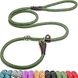 Fida Slip Lead, Dog Lead, 6ft, One Size, Slip On No Collar or Harness Needed, Durable and Weather Resistant Climbing Rope with Reflective Stitching (Green)