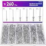 ANVINKU 260PCS Pop Rivets Assortment, Aluminum Blind Rivet Set, M3.2/M4/M4.8 Rivets for Metal, Furniture & Marine Construction
