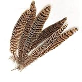 Weddecor Pheasant Feathers, DIY Pheasant Tails Natural Feather, 25-30cm Soft Native Plume for Hats, Hair, Crafts Party, Decoration Props, 10pcs