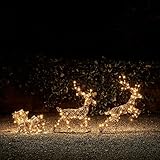 Lights4fun Light Up LED Figure Rattan Reindeer & Sleigh Christmas Outdoor Display Garden Decoration with 240 Warm White LEDs Plug In with Timer