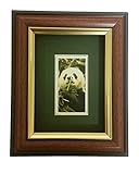 Cigarette Card Mounting & Framing Kit for 1 Card (Green Mount, Brown & Gold Moulding)