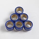 Athena Variator Roller for Scooter Gilera 50 Runner 16 x 13 5 g / S41000030P017