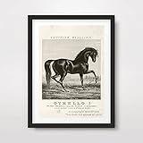 HORSE ART PRINT Poster Vintage Black White Sepia Neutral Illustration Victorian Antique Equestrian Home Decor Design Wall Picture A4 A3 A2 (10 Size Options)