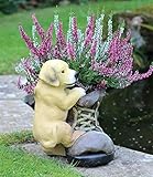 HH Home Hut Garden Ornament Plant Pot Planter Puppy Dog Animal with boot Outdoor Indoor 26cm