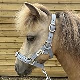 Ruggles Head Collar for Shetland Pony and Miniature Horses | Durable and Adjustable | Ideal for everyday use (Light Grey, Shetland)