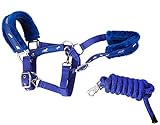 Cwell Equine NEW Horse print fur padded headcollars halter + matching lead ROYAL BLUE (PONY)