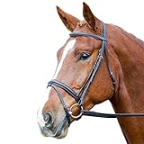Shires Aviemore Comfort Fit Bridle - Black: Cob