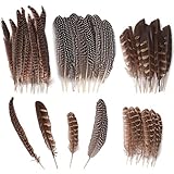 TOTSUN 40 Pcs Natural Pheasant Feathers 10-25 Cm Brown Speckled Feathers DIY Pheasant Tails Feather Pheasant Feather for Crafts Hats Wreath Party Deco Cosply Props (4 Sizes)