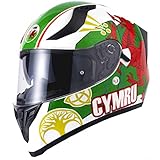 Vcan H128 Full Face Dual Visor Motorcycle Helmet Wales (Medium)