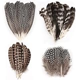 50 Pcs 4 Styles Natural Feathers for Crafting, Brown Pheasant Feathers, Speckled Craft Feathers, 13-19 Cm Pheasant Tails for DIY Hats Party Deco Cosply Dream Catchers - 4 Sizes