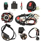 Trkimal Quad Wire Harness Complete Electrics 6 Pole Stator Coil CDI Wiring Harness Solenoid Relay Spark Plug for 4 Stroke ATV 50cc 70cc 90cc 110cc 125cc Pit Quad Dirt Bike Buggy Go Kart