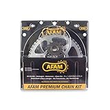 Afam 01213676 Motorcycle chain kit set (steel) for YAMAHA TY 125 1976 - 1989
