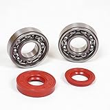 BEARING AND SEAL KIT SPI Bottom Racing Motor Scooter Yamaha Beluga 50 6204