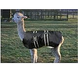 Alpaca Coat 34" - Black