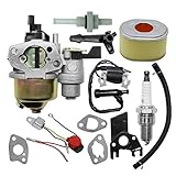 Hoypeyfiy GX160 Carburetor Kit Replacement for Honda GX120 GX140 GX160 GX200 5.5HP 6.5HP Engine Replaces 16100-ZH8-W61 16100-ZH7-W51 17210-ZE1-517