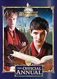 "Merlin" Annual 2010