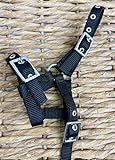 Mini Shetland Foal Headcollar - Tiny - Black/Navy Silver Fittings Navy
