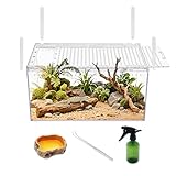 【No Assembly】Reptile Mini Tank Enclosure with Magnetic Button.12" x 8" x 6" Snake Enclosure Cage,Batch Stackable Reptile Breeding Tank for Insect,Fish,Tarantula,Hermit crab,spider,Bearded dragon