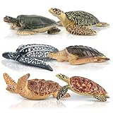 toymany 6PCS Realistic Sea Turtle Figurines, Plastic Ocean Sea Animals Figures Set Includes of Turtles, Educational Toy Cake Toppers Christmas Birthday Gift for Kids Toddlers