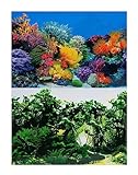 Hidom Aquarium Background DS 300 - Coral & Aquarium Rock Grass 8FT