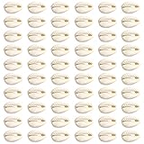 TOAOB 200pcs Shell Beads Natural Oval Cowrie Sea Shells Charms 12mm to 16mm for Jewellery Making DIY Bracelet Necklace Accessories