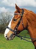 Rhinegold Anatomic Cavesson Bridle - Cob - Black