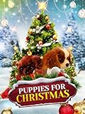 Puppies For Christmas