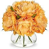 Oairse Autumn Decorations Artificial Peonies with Vase Realistic Faux Peonies Flower in Glass Vase with Faux Water Orange Fake Peony Flora Arrangement for Home Office Wedding Centerpiece Fall Decor