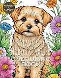The Seasons of a Norfolk Terrier: A Delightful Adult Colouring Journey