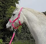 Rhinegold Unisex's Carnival Headcollar & Rope, Bright Pink, Cob