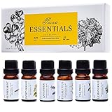 Essential Oils by Pure Essentials 100% Pure Therapeutic Grade Oils - Top 6 Aromatherapy Oils Gift Set-6 Pack, 10ML(Eucalyptus, Lavender, Lemon Grass, Orange, Peppermint, Tea Tree)