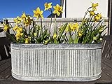 Set of 3 OR Single Galvanised Zinc Ribbed Metal Pots Planters | Round Garden Flower Plant Pot Trough Vintage Antique (Single Large)