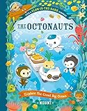 The Octonauts Explore The Great Big Ocean: Now a major television series!