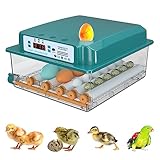 Auveach Automatic Egg Incubator Incubator for 16 Hen Eggs Automatic Temperature Control Automatic Egg Turning Double Electric Design