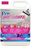 Pro-Kleen Pro+ Carpet Shampoo and Upholstery Cleaning Solution – 4 in 1 Concentrate – Pet Carpet Cleaner with Odour Removal Suitable for all Machines 5L (Spring Bloom)