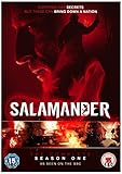 Salamander: The Complete Season One [DVD] [2012]