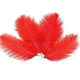 10PCS Ostrich Feathers Plumes Fluffy 6-8 Inches Long - Red