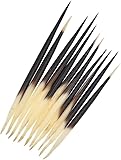 10 Pcs Black Porcupine Quills Hair Stick Fishing Buoy DIY Sewing Project Kits Indian Crafts Accessories Sewing Notions Supplies Thimbles