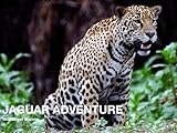 Jaguar Adventure with Nigel Marven