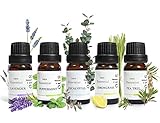 Essential Oils 100% Pure Organic 10ml (UK Company) Natural Diffuser Oils Aromatherapy Oil Peppermint Lavender Eucalyptus Tea Tree Lemon Grass, Pack of 5