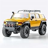 Fms Toyota Fj Cruiser 1/18th Scaler Rtr