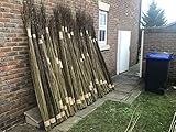 Living Willow Whips for Replanting. (Salix viminalis/Common Osier), Straight Whips in Bundles, Grown Organically in UK, harvested and Handled by Hand, Native to The UK (10, 240cm/8ft)