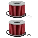 Cyleto Oil Filter for KAWASAKI GPZ750 GPZ 750 1982 1983 1984 1985 1986 1987 1988 1989/GPZ750R GPZ 750R 1985 1986 1987 1988 (Pack of 2)