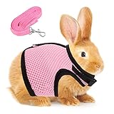 Adjustable Rabbit Harness for Rabbits Guinea Pigs Small Animals with Lead Harness with Lead for Guinea Pigs for Small Pets, Rats, Iguanas, Hamster Ferrets, L