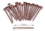 Kupfer Baum Copper Nails Tree Stump Killer, 10 x Very Large 65 mm