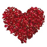 KAIAIWLUO Dried Rose Petals,100 Grams Dry Rose Flower Natural Biodegradable Red Rose Petals Dry Rose Petal for Foot Bath Spa Confetti Weddings Romantic Night