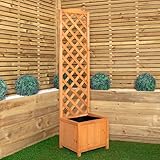 1.6m Samuel Alexander Natural Wooden Freestanding Garden Trellis with Raised Bed Planter-Planters with trellis- Outdoor Elevated Trough Planter Support Box