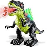 TOEY PLAY T-Rex Toy with Water Spray, Walking Dinosaur Toys for Boys, Dinosaurs Roaring, Lights and Sounds, Realistic Dino Animal Figure for Kids, Gifts for Children Age 3 4 5 6