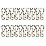 Temlum 2.5 cm Tiny Carabiner Clip, Aluminum Keyring Clips Snap Hook Small Carabiner Clips for Keys, Backpack, Fishing, Camping, Outdoor (Silver 20p)