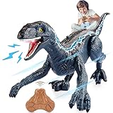 Hero Remote Control Dinosaur Toys for Boys, Kids Toys for 3-15 Year Old Boys Walking & Roaring Realistic LED& Spray 3-15 Year Old Boy Kids Gifts